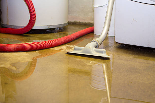 Best Professional water damage repair  in Garrison, MD